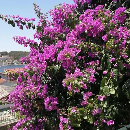 Fioretta * مالي لوشينغْ