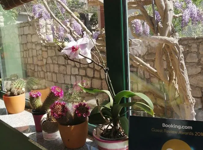 Fioretta 아파트 말리로시니