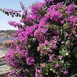 Fioretta * Mali Lošinj