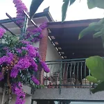 Fioretta *