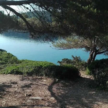 Fioretta *