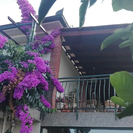 Fioretta *